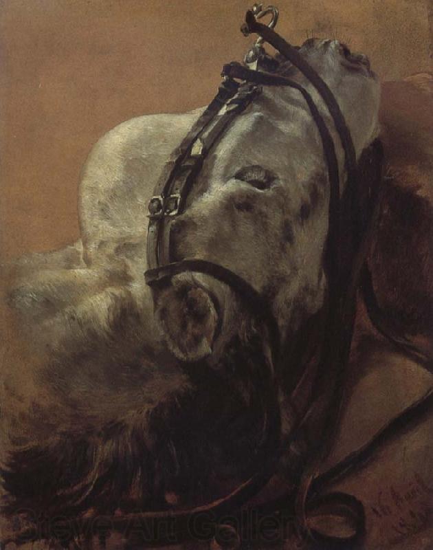 Adolph von Menzel Euine Study,Recumbent Head in Harness